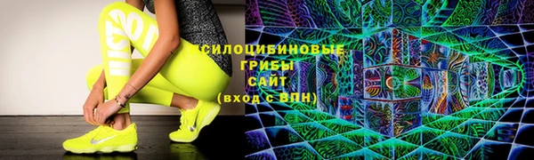 кокс Белокуриха